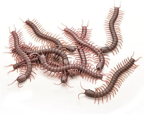 millipede toy