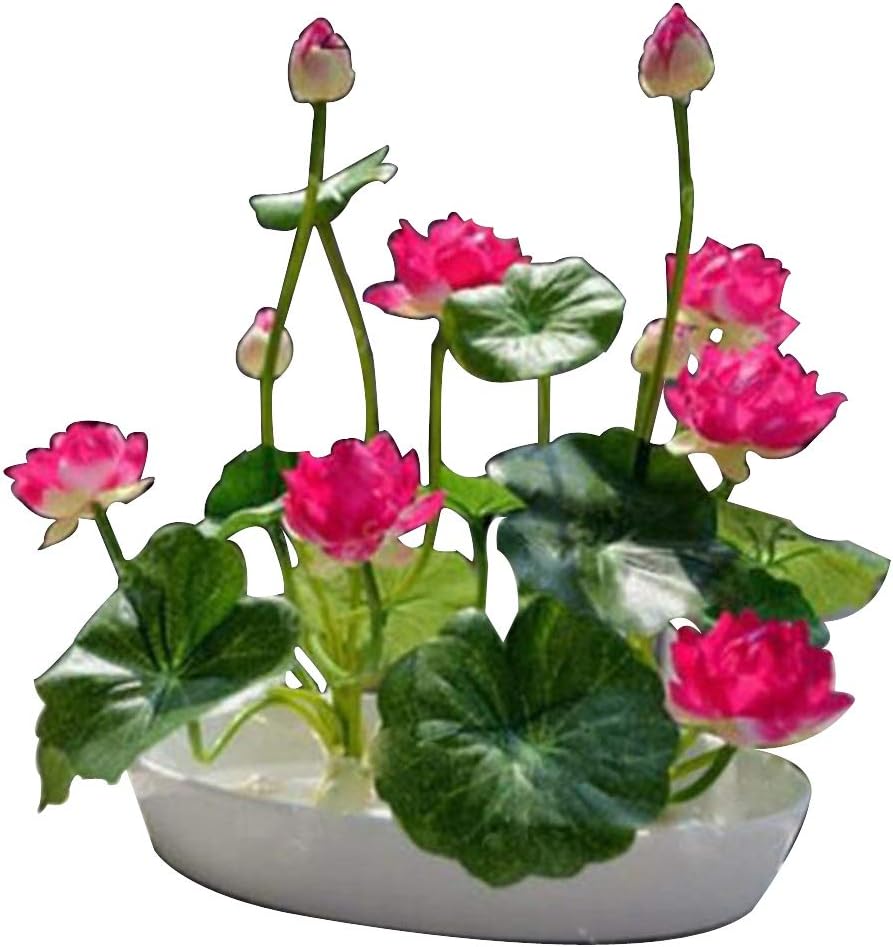 light bulb grow Miracle LED Wide Angle Full Spectrum Daylight Grow Light main image 1
