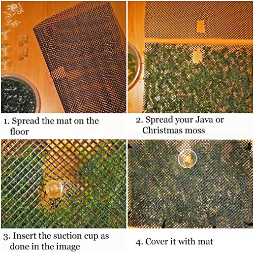Wild Christmas Moss in Loose Form - Easy to Grow Live Plant for Aquarium - Lush, Green Moss for Decor - Create Moss Wall or Moss Carpet - Soft, Comforting for Fish - Food Source for Fry & Shrimps - Thumbnail 4