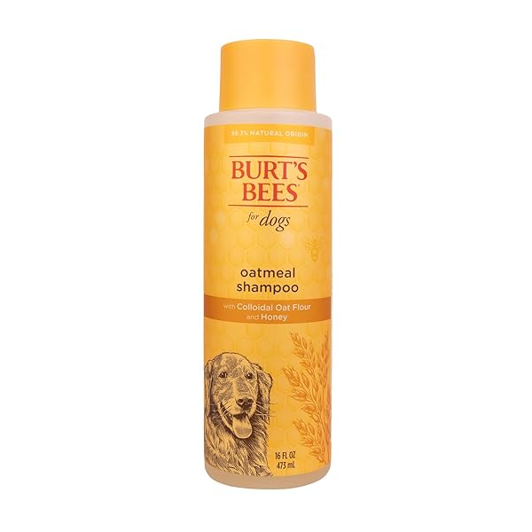 BURT’S BEES FOR PETS OATMEAL DOG SHAMPOO WITH...