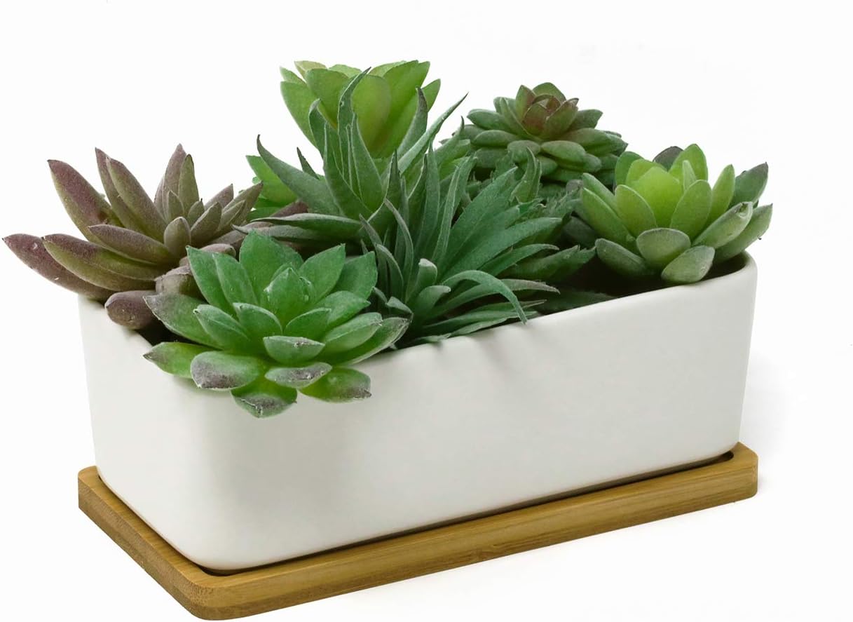 Rectangular Ceramic Succulent Planter Pot 6.5" White