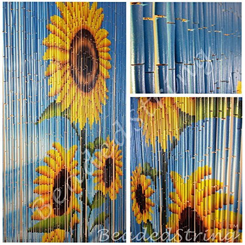 Doorway Beads Diy I Always Had A Beaded Curtain Now Bry And I Need One For Our House