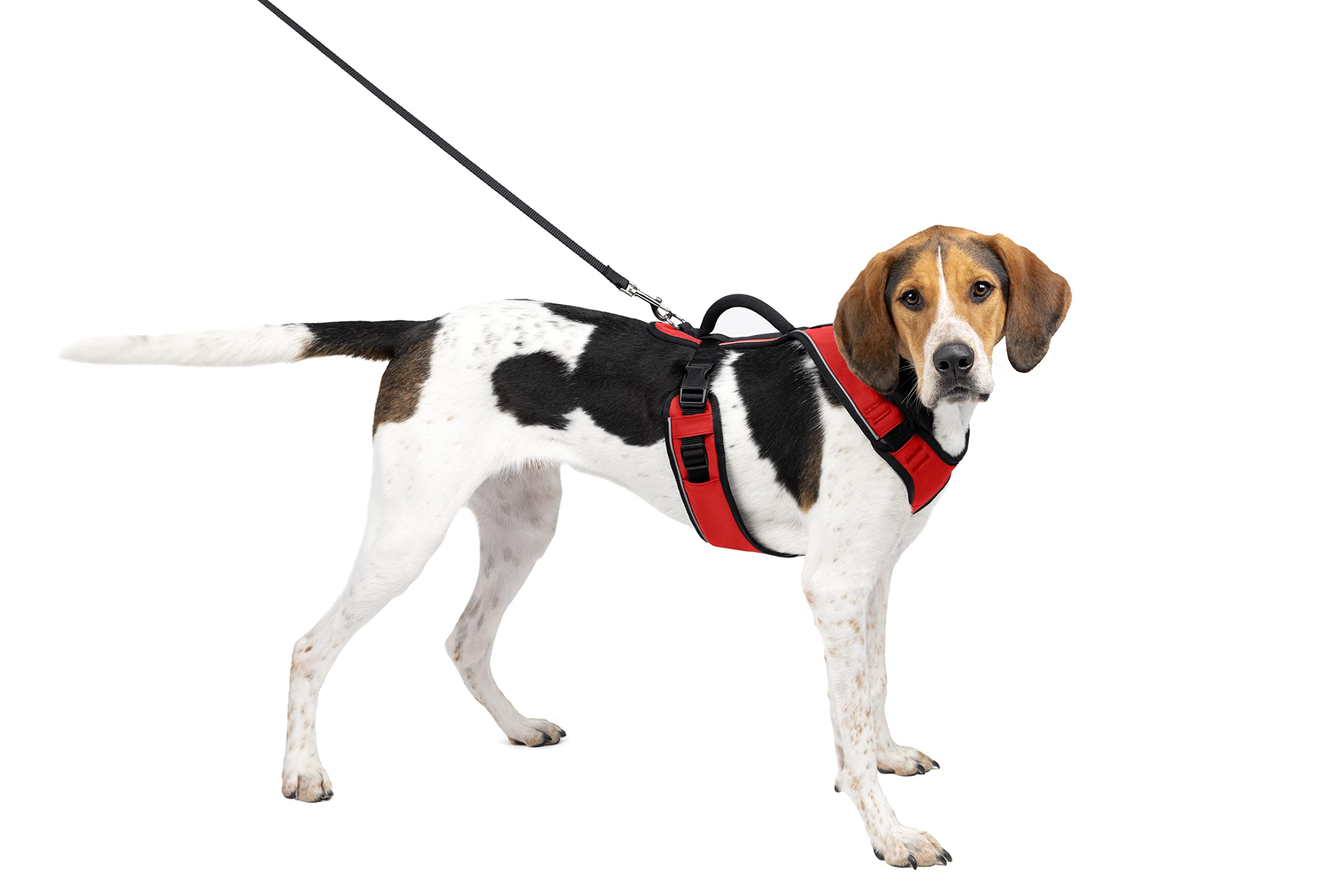 PetSafe EasySport Harness, Walking Harness for Dogs, Adjustable, Padded, Large-Red