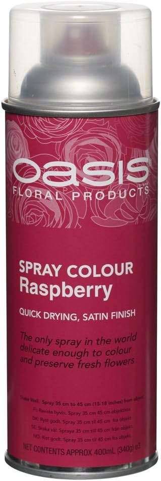 Smithers Spray Paint Raspberry
