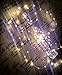 Qualizzi Starry Lights 60 Feet Xx-Long / 360 LEDs with Remote Control Dimmer. Warm White Lights on Copper Wire String. Fading Fairy Effects. White 110/220v Pw Adaptor