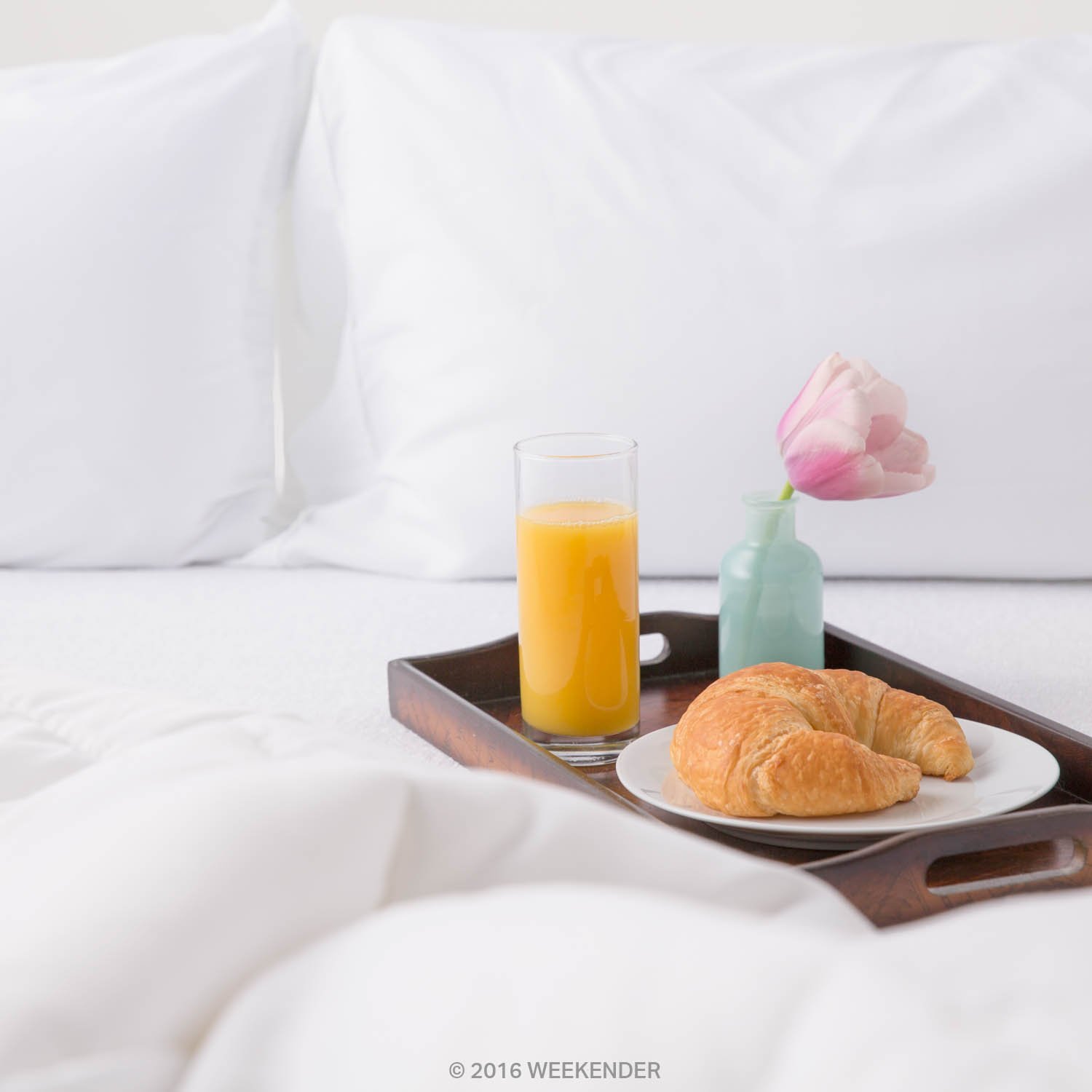 WEEKENDER Fitted Jersey Mattress Protector with Quiet Waterproof Barrier - Queen