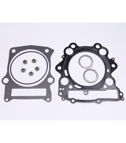 Amazon.com: HYspeed Top End Head Gasket Kit Set LT250