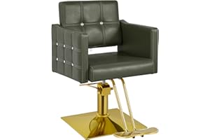 Dangvivi Hair Chair,Salon Chair for Hair Stylist,Beauty Chair for Home,360 Degree Swivel,Modern Beauty Spa Styling Hairdressing Tattoo Equipment for Women