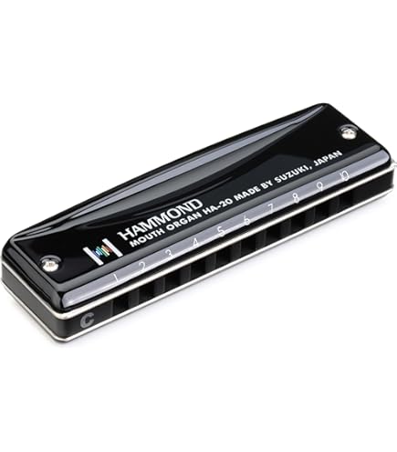 TOMBO CHORD ハーモニカ Dragon-fly Harmonica Amazon.com: Tombo Dragonfly 複音 Harmonica Premium 21
