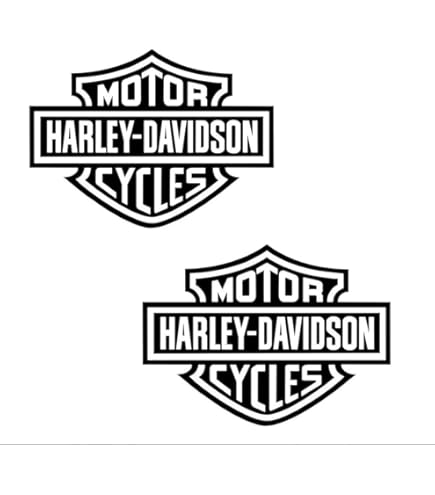 Amazon.com - CHROMA CG25121 Harley-Davidson 2pc Vintage Racing and
