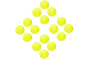ptlsy Dog Tennis Balls 16 Pack Pet Mini Tennis Ball for Small Medium Dogs Fetching (2 inch)