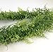 Felice Arts 5.3 Ft Artificial Greenery Wisteria Ivy Hanging Vine Garland Fake Foliage Garland Leaves Faux Eucalyptus Leaf for Wedding, Garden, Farmhouse Outdoor Decor