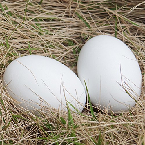 MasterPro Wooden Fake Eggs-6 pieces by MasterPro - Thumbnail 3