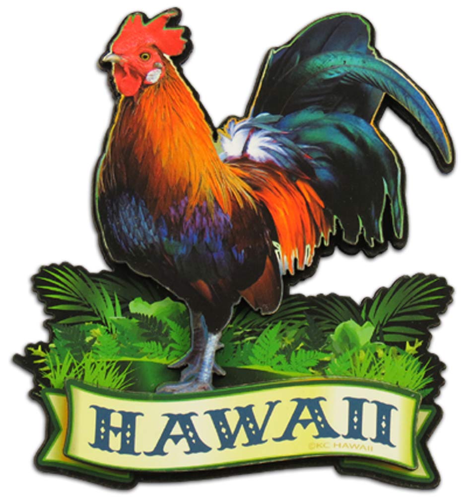 Best Hawaii Chickens Magnets Refrigerator