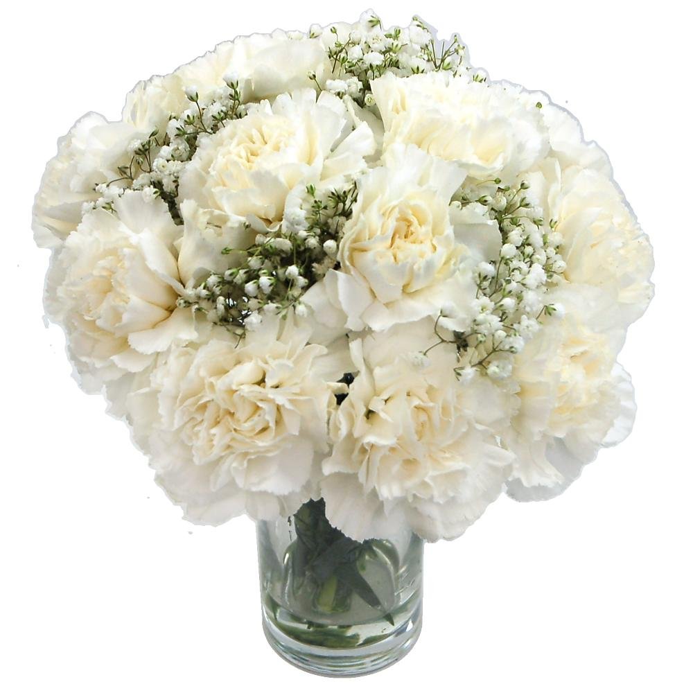 Clare Florist White Carnations Fresh Flower Bouquet - Beautiful Flowers for All Special Occasions