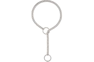 ADEMISHIA Gold O-ring Slip Chain Necklace, Handmade Punk Cuban Link Chain Necklace Jewelry Silver Chunky Y-Necklace For Women Men