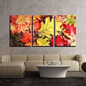 3 Piece Canvas Wall Art - Colorful Oak Autumn Tree Leaves Background. - Modern Home Art Stretched and Framed Ready to Hang - 16"x24"x3 Panels