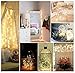 6 Pack 10Ft 30 LED Submersible Warm White Copper Fairy Starry String Twinkle Lights, CR2032 Battery Operated (Include), for Wedding Centerpiece or Table Decorations, Party, Christmas