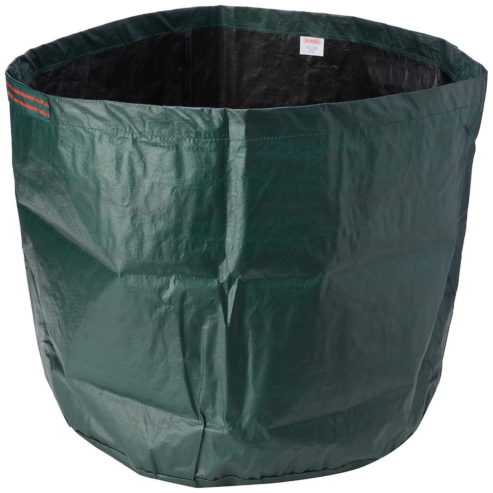 Bosmere Reusable Runner Bean Bag with Bean Ring, Green, N418