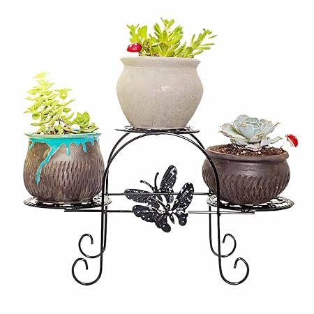 Soporte de exhibición de la flor de la planta Escritorio Soporte ...
