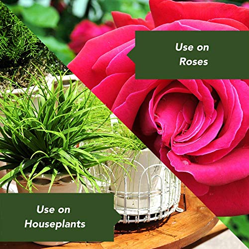 BioAdvanced AllinOne Rose and Flower Spray, Concentrate, 32 oz