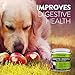 5 Billion Dog Probiotics (5oz) - 12 Strains - Most Potent Formula on the Market for Dogs Digestive & Immune Health Support (141 grams)