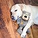 KONG Wild Knots Bears - Durable Dog Toys with Internal Knotted Ropes and Minimal Stuffing for Less Mess (Assorted Colors) (Medium/Large)