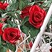 Y wang 3Pack (23.5 Feet) Artificial Flowers Vines Fake Rose Garland for Home Hotel Wedding Party Garden Craft Art Decor Red