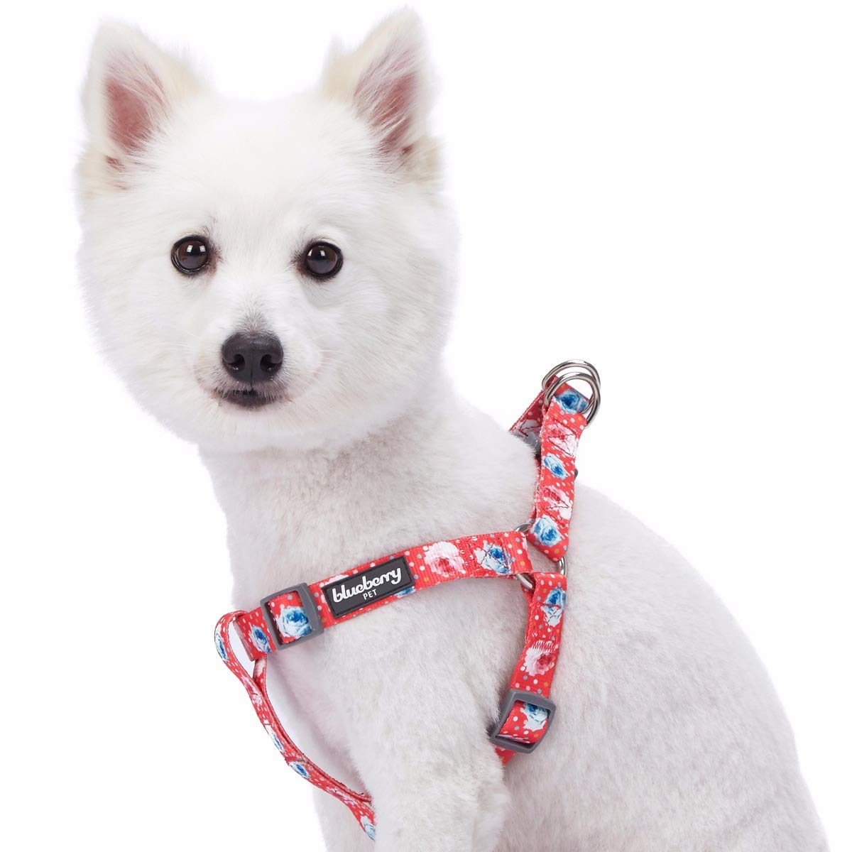Blueberry Pet New Step-in Spring Scent Inspired Rose and Polka Dot Print Brink Pink Dog Harness, Chest Girth 51cm-66cm, Medium, Adjustable Harnesses for Dogs