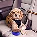 Sabuy Collapsible Dog Cat Travel Bowl, Pet Pop-Up Food Water Feeder Foldable Bowls With Carabiner Clip, Blue/Green, Set Of 2