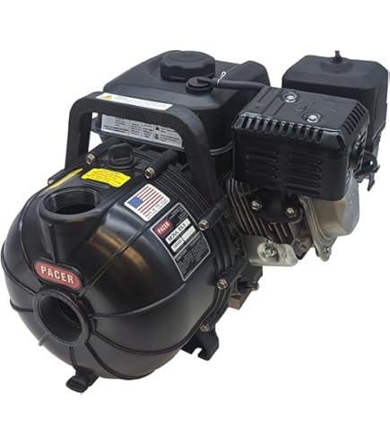 Pacer Pumps SE3SL E5.5 Multi-Purpose Water Transfer Pump with 3