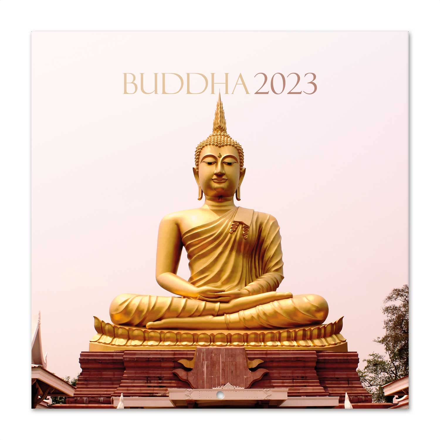 Grupo Erik Buddha Wall Calendar FSC 12 Month Planner, Square Wall, Family Planner, Buddha Calendar 2023, Gifts, + 4 Bonus Months, 12' x 12'