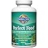 Garden of Life Whole Food Vegetable Supplement - Perfect Food Green Superfood Dietary Supplement, 300 Vegetarian Caplets