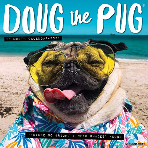 Doug The Pug 2021 Wall Calendar NEW 9781549211584 | eBay