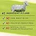 Purina Beyond Simple Ingredient, Natural Dry Dog Food, Simply Pasture Raised Lamb & Whole Barley Recipe - 14.5 lb. Bag