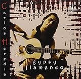 GYPSY FLAMENCO                                     image