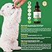 Hemp Oil For Dogs and Cats - Full Spectrum Organic Drops Hemp Oil For Anxiety & Stress Relief- Arthritis Pain Relief - Hip and Joint Dog Supplement- Apply To Hemp Prime Treats (375mg)