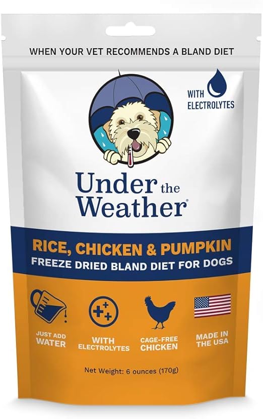 is rice and chicken good for dogs
