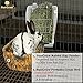 Rabbit Hay Feeder Rack --- Mess-Free Food Dispenser - Guarantees Clean and Dry Hay, Alfalfa and other Grasses - Also Ideal for Guinea Pigs, Chinchillas, Hamsters - Attaches to any cage Conveniently