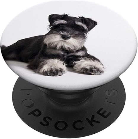 hot water bottle cuddly toy