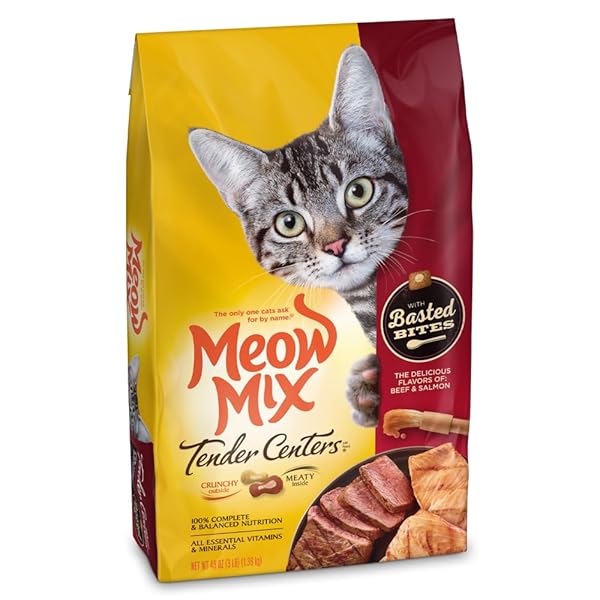 TENDER CENTERS® BASTED BITES BEEF & SALMON FLAVORS DRY CAT FOOD