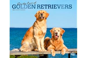 For the Love of Golden Retrievers | 2026 14 x 24 Inch (Hanging) Monthly Deluxe Wall Calendar | Foil Stamped Cover | Plastic-F