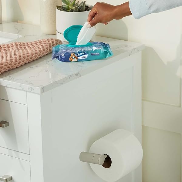 CHARMIN FLUSHABLE WIPES, 2 PACKS, 40 WIPES PER PACK, 80 TOTAL WIPES