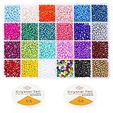 Pony Seed Beads, Shynek 24 Colors Friendship Bracelet Beads 4mm Small Rainbow Glass Beads with Elastic String for Jewelry Making Bracelets Necklaces