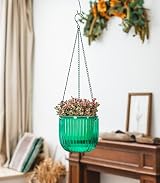 Josteve 6.5 Inch Self Watering Hanging Planter with Visible Water Level view 4