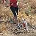 Ruffwear, Hi & Light, Everyday Lightweight Dog Harness, Trail Running, Walking, Hiking, All-Day Wear, Sockeye Red, Medium
