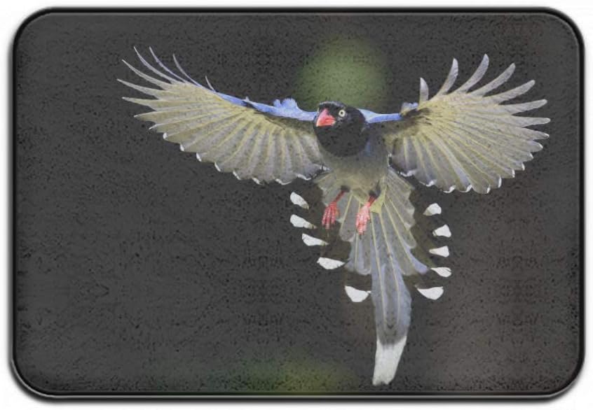 Taiwan Blue Magpie Indoor Outdoor Flannel Easy Clean Entry Way Welcome Doormat, Floor Mat, Rug for Patio, Front Door, All Weather Exterior Doors