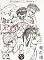 Livro Alma de Dragão: Capítulo 02 - Boas vindas (Despertar Livro 1)
