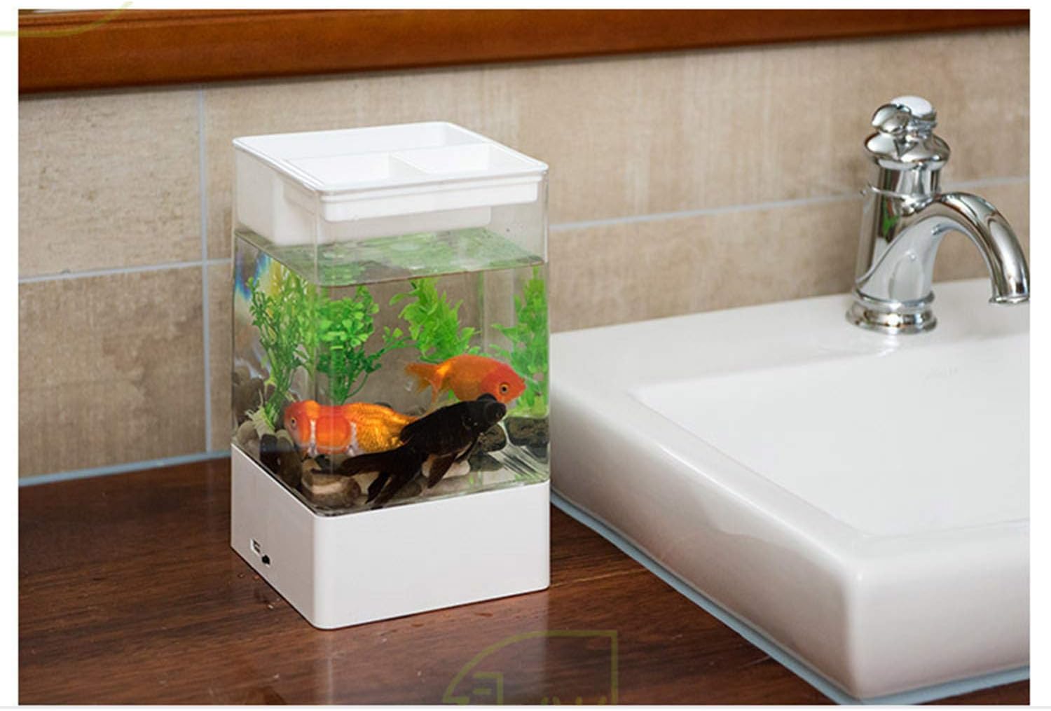 Zzmuk Desktop Rotating Aquarium Zzmuk Desktop Rotating Aquarium