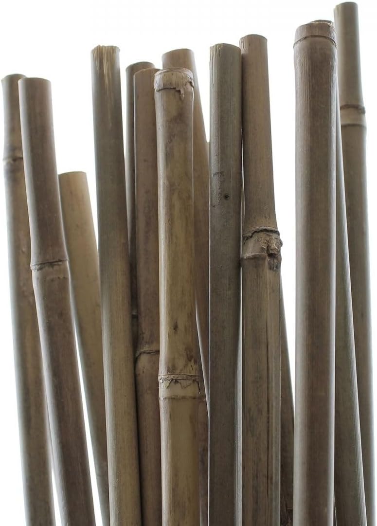 PLANT !T 5ft Bamboo Stakes Beige Pack of 25 for Plant Support
